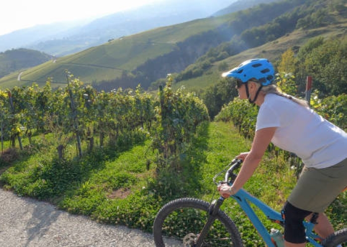 Excursion en vélo ou trottinettes électriques dans les vignes beaujolaises 
